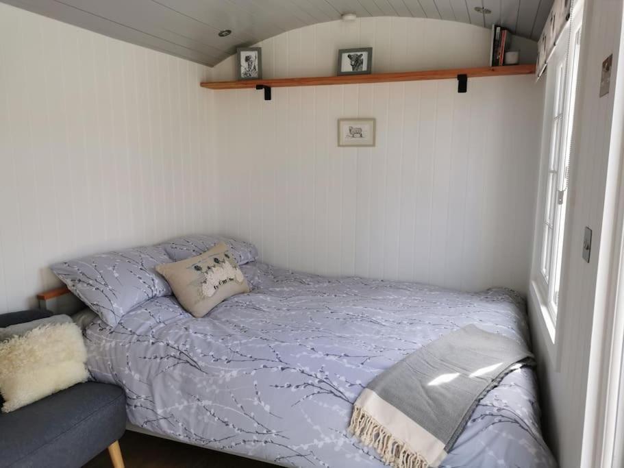 فيلا Elvan Farm Shepherd'S Hut إكزيتر المظهر الخارجي الصورة