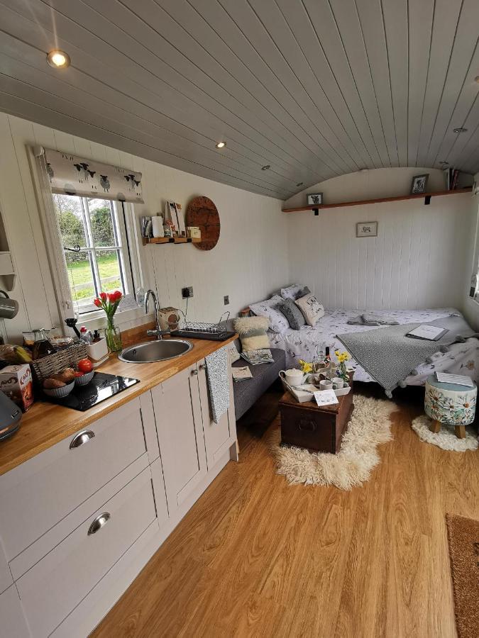 فيلا Elvan Farm Shepherd'S Hut إكزيتر المظهر الخارجي الصورة