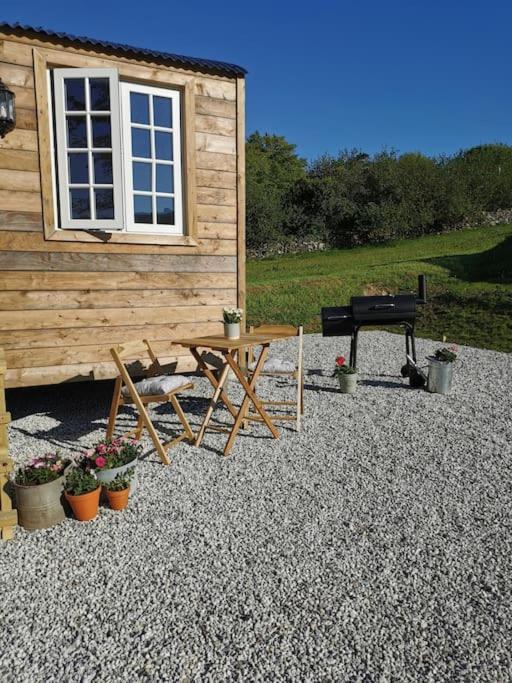 فيلا Elvan Farm Shepherd'S Hut إكزيتر المظهر الخارجي الصورة