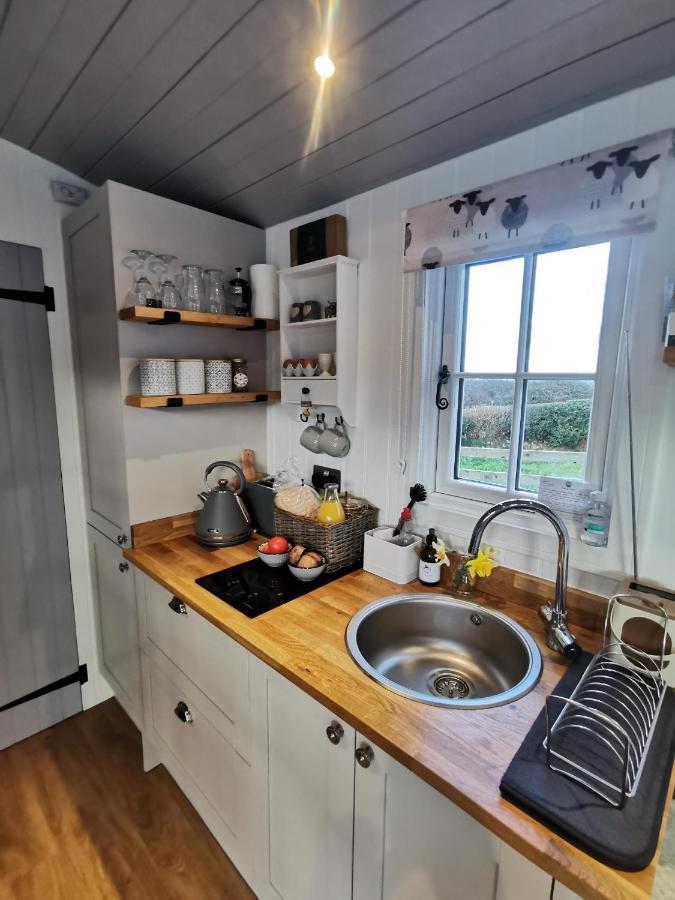 فيلا Elvan Farm Shepherd'S Hut إكزيتر المظهر الخارجي الصورة