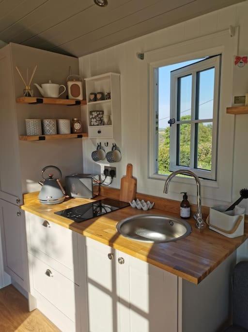 فيلا Elvan Farm Shepherd'S Hut إكزيتر المظهر الخارجي الصورة
