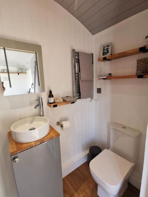 فيلا Elvan Farm Shepherd'S Hut إكزيتر المظهر الخارجي الصورة
