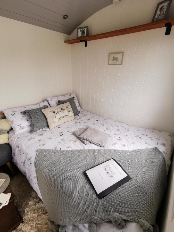 فيلا Elvan Farm Shepherd'S Hut إكزيتر المظهر الخارجي الصورة